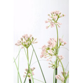 Planta artificiala multicolora 45x90 cm