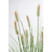 Set 8 flori artificiale Pennisetum Ø70x100h