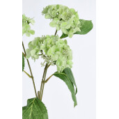 Set 12 Hortensii artificiale verzi 29x29x82h