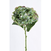Set 12 Hortensii artificiale verzi Ø25x52h