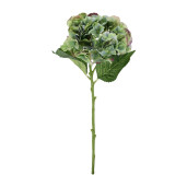 Set 12 Hortensii artificiale verzi Ø25x52h