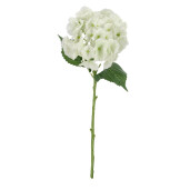 Set 12 Hortensii artificiale albe verzi Ø25x52h