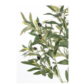 Maslin artificial in ghiveci 65x50x90h