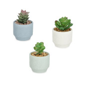 Set 3 plante suculente artificiale in ghiveci ceramica multicolora Ø7x11h