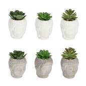 Set 6 plante suculente artificiale in ghiveci ceramica Budha Ø8x12h