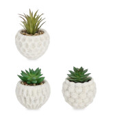 Set 3 plante suculente artificiale in ghiveci ciment Ø8x11,5h