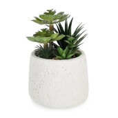 Planta suculenta artificiala in ghiveci Ø15.5x24h