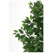 Ficus artificial in ghiveci Ø55x145h
