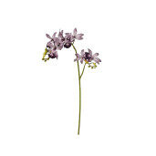 Set 4 Orhidee artificiale violet verzi 87h