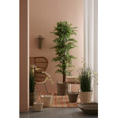 Set 3 cosuri ratan natur alb Randy Ø22x16-24h; ø30x23-29h; ø37x30-38h