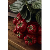 Vaza flori ceramica rosie verde 26x16 cm