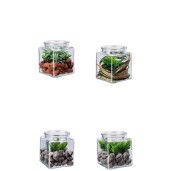 Set 4 plante suculente artificiale in borcan 10 x 10 x 13 cm