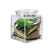Aranjament plante suculente si piatra II 10 x 10 x 13 cm