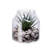 Set 4 plante suculente artificiale in borcan 14 x 16 cm