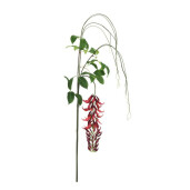 Set 4 flori artificiale rosii verzi Kaylin 210 h