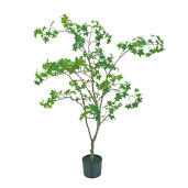 Artar verde in ghiveci 120 cm