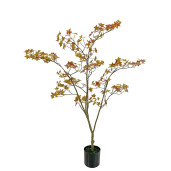 Artar maro in ghiveci 120 cm