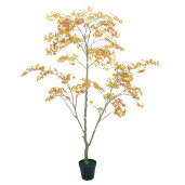 Artar maro in ghiveci 250 cm