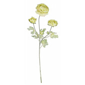Set 12 flori artificiale Ranunculus verde 61 cm