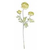 Set 3 flori artificiale Ranunculus verde 61 cm