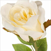 Set 12 Trandafiri artificiali albi 8x61 cm