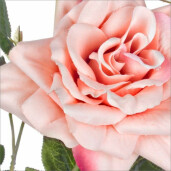 Set 12 Trandafiri artificiali roz 11x76 cm