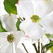Set 12 flori artificiale albe verzi 99.06 cm
