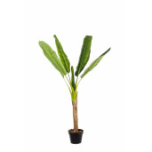 Planta artificiala Bananier in ghiveci cu 7 frunze 113 h