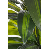 Planta artificiala verde in ghiveci 88 cm