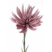 Set 12 Crizanteme artificiale roz verde 24x91 cm