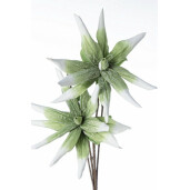 Set 12 flori Aloe verde 55x125 cm