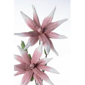 Set 12 flori Aloe roz alba 55x125 cm