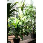 Planta artificiala exotica in ghiveci cu 75 frunze Fern 108 h