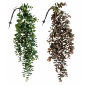 Set 4 plante artificiale plastic verde maro 81 cm