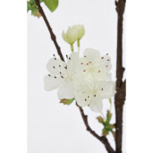 Set 12 crengute Par artificial alb verde 20x20x94h