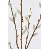 Set 3 crengute Salcie artificiala 96h