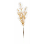 Set 12 flori Pampas artificial 20x100 cm