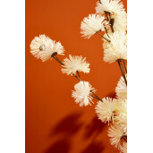 Set 12 flori artificiale albe 45x108 cm
