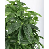 Planta artificiala in ghiveci 360 frunze 70x160 cm