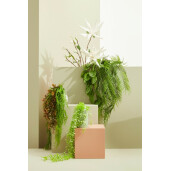 Set 12 flori Aloe artificiala alba 55x125 cm