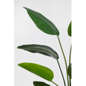 Planta artificiala in ghiveci verde 10 frunze 90x80x150 cm