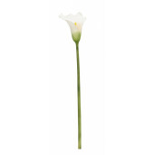 Set 12 Cale artificiale verzi albe 14x21x82 cm