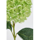 Set 12 Hortensii artificiale verzi 30x25x67 cm