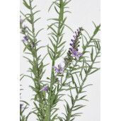 Set 24 flori Lavanda artificiala mov verde 20x20x78 cm