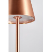Lampadar cu led metal bronz Etna 17x115 cm