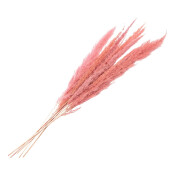 Buchet flori uscate roz 100 cm