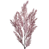 Set 6 plante artificiale plastic roz 10x4x75 cm