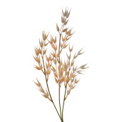 Set 6 plante artificiale plastic maro 6x6x72 cm