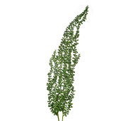 Set 3 plante artificiale verzi 10x5x77 cm