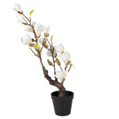 Magnolie alba artificiala in ghiveci 16x14x60 cm